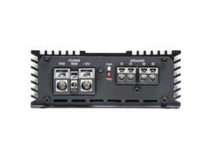 DD Audio DM1000a - Mono Amplifier